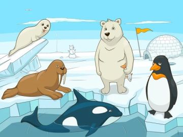depositphotos 87670810 stock illustration arctic animals educational game for 1